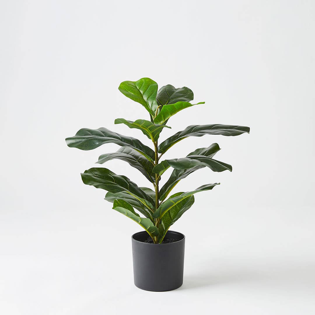 Real Touch Fiddle Leaf Tree 50cm