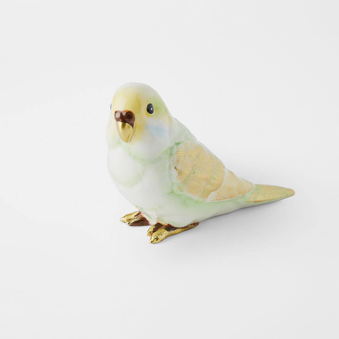 Budgie