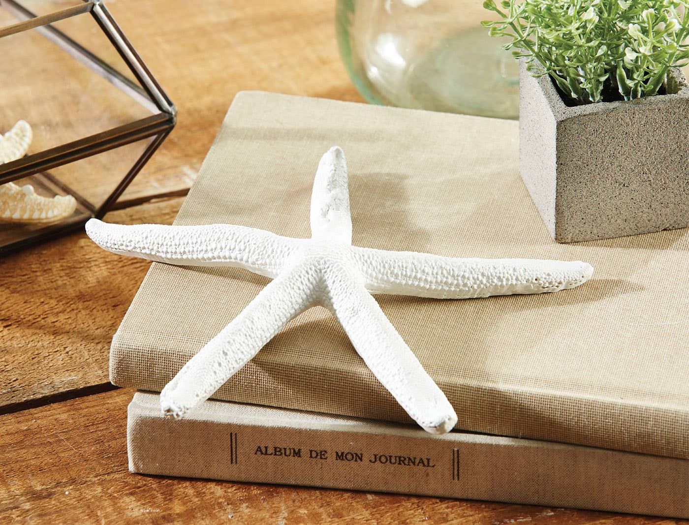 Starfish Skinny Decoration Large